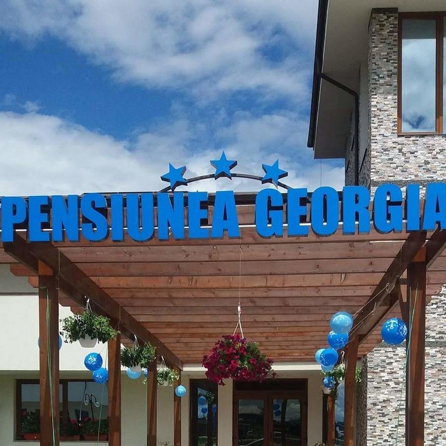 Pensiunea Georgia Lunguleţul Dış mekan fotoğraf